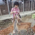 Lily  Tung - @waterlilyrs - Instagram