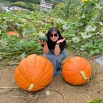 Lily tung - @lily_tung33 - Instagram