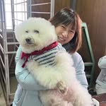 Lily Tung - @peiyingtung - Instagram