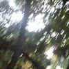 Lily Tung - @poetry.photography - TikTok