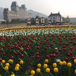 lilytung - @lilytung1965 - Instagram