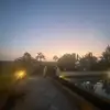 lily - @lily.ward - TikTok