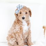 lily warner rose - @lilywarner_rose - Instagram