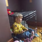 Lily Watson - Facebook