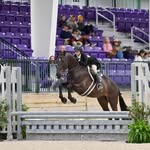 Lily Watson - @lilywatz_eq - Instagram