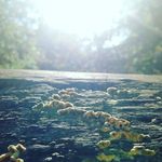 Lily Webster - @lilywebster00 - Instagram