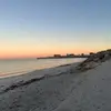 lilyy - @lily_webster321 - TikTok
