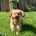 Lily Whitehead - Facebook