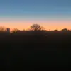 Lily - @lilywhiteman1 - TikTok