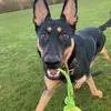 lily mae wiley - @lilymae.x__ - TikTok