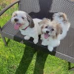 Rita Becker - @wiley.lily - Instagram