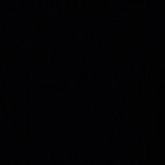 𝐿𝑖𝑙𝑦 𝑊𝑖𝑙ℎ𝑒𝑙𝑚 - @wilhelm_lily - Instagram