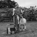 Lily Williamson - Facebook
