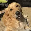 lily.wray2121 - @lily.wray2121 - TikTok