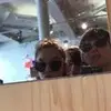 lily.wray_ - @lily.wray_4 - TikTok