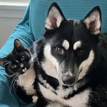 Lily yoder - @lily_y567 - Instagram