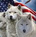 Lin Anderson - Facebook