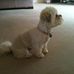 Lin Anderson - Facebook