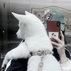 LinChan(예린)🦭 - @liintrna - TikTok