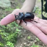 Lin-choi - @linchoi76 - Instagram