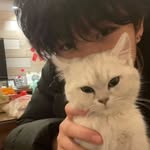 lin choi hyuk - @lchhyuk_ - Instagram