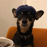 Lin Choi/Soh - @linchoii - Instagram