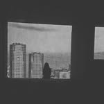@_linfox - Instagram