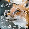 LinFox - @linfox39 - TikTok
