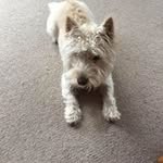 Lin Hughes - @linhughes22 - Instagram