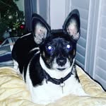 Linda Hughes - @linhughes61 - Instagram