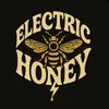 Mary Lin Ingram - @_electrichoney - TikTok