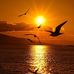 Lin Lopez - Facebook