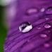 Lin Nelson - Facebook