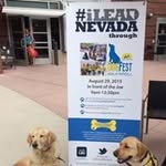 Lin Nelson - @linmnelson434 - Instagram