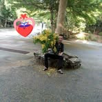 Lin Rose - Facebook