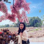 Lin Rose - Facebook
