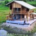 Lin Tin - Facebook