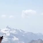@linabush - Instagram
