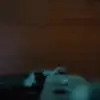 linachapman - @pro.japan13 - TikTok