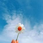 Lina Chowdhury - Facebook
