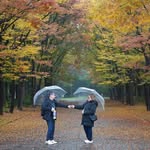 Lina Hwang - @hpling2 - Instagram