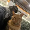 slinkybinky - @linahwang_ - TikTok