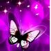 Lina Jansen - Facebook