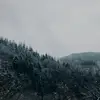 lina.le - @lina.le - TikTok
