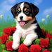 Lina Leon - Facebook