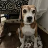 Lina Leon - @lina.leon813 - TikTok