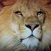 Lina Leone - Facebook