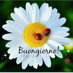 Lina Leone - @lina.leone.3363 - Instagram