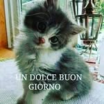 Lina Leone - @lina.leone.505 - Instagram