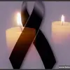 rosalinarocha54 - @rosalinarocha54 - TikTok
